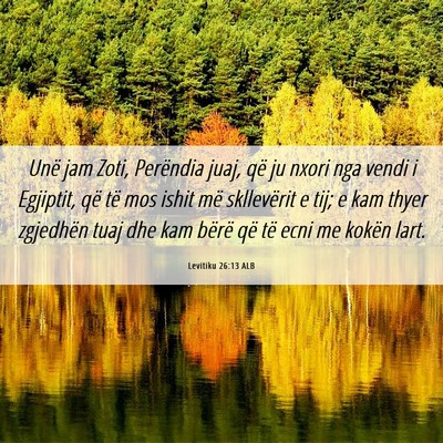 Picture 06 - Levitiku 26:13 ALB - Unë jam Zoti, Perëndia juaj, që ju nxori nga - Bible Verse Picture
