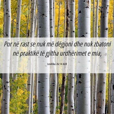 Picture 06 - Levitiku 26:14 ALB - Por në rast se nuk më dëgjoni dhe nuk zbatoni - Bible Verse Picture