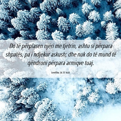 Picture 06 - Levitiku 26:37 ALB - Do të përplasen njëri me tjetrin, ashtu si - Bible Verse Picture