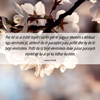 Picture 06 - Levitiku 27:8 ALB - Por në se ai është tepër i varfër për të - Bible Verse Picture