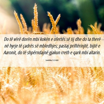Picture 06 - Levitiku 3:2 ALB - Do të vërë dorën mbi kokën e ofertës së - Bible Verse Picture