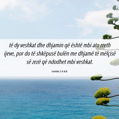 Picture 06 - Levitiku 3:4 ALB - të dy veshkat dhe dhjamin që është mbi ato - Bible Verse Picture