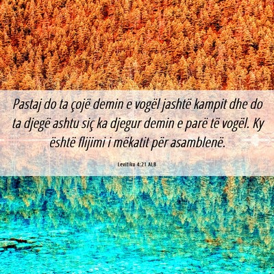 Picture 06 - Levitiku 4:21 ALB - Pastaj do ta çojë demin e vogël jashtë kampit - Bible Verse Picture