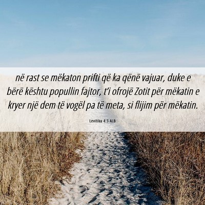 Picture 06 - Levitiku 4:3 ALB - në rast se mëkaton prifti që ka qënë vajuar, - Bible Verse Picture