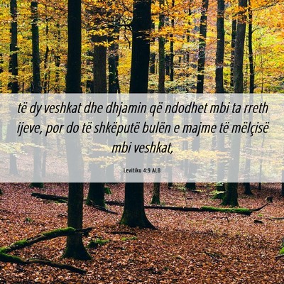 Picture 06 - Levitiku 4:9 ALB - të dy veshkat dhe dhjamin që ndodhet mbi ta - Bible Verse Picture