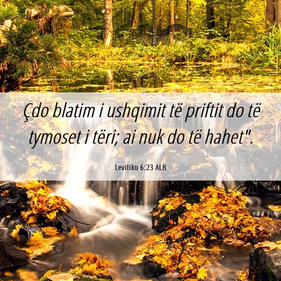 Picture 06 - Levitiku 6:23 ALB - Çdo blatim i ushqimit të priftit do të tymoset - Bible Verse Picture