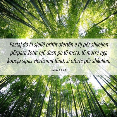 Picture 06 - Levitiku 6:6 ALB - Pastaj do t’i sjellë priftit ofertën e tij - Bible Verse Picture