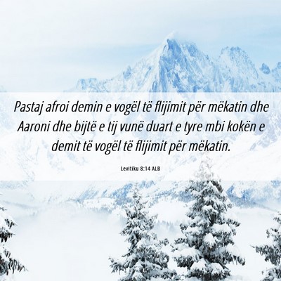 Picture 06 - Levitiku 8:14 ALB - Pastaj afroi demin e vogël të flijimit për - Bible Verse Picture