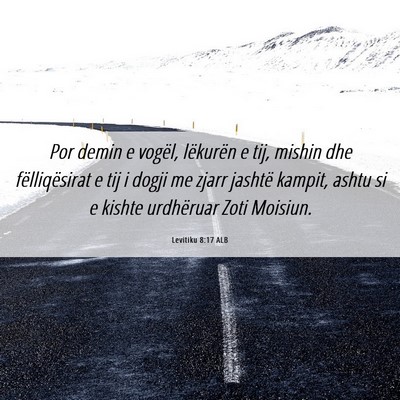 Picture 06 - Levitiku 8:17 ALB - Por demin e vogël, lëkurën e tij, mishin dhe - Bible Verse Picture