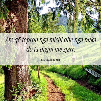 Picture 06 - Levitiku 8:32 ALB - Atë që tepron nga mishi dhe nga buka do ta - Bible Verse Picture