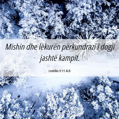 Picture 06 - Levitiku 9:11 ALB - Mishin dhe lëkurën përkundrazi i dogji jashtë - Bible Verse Picture