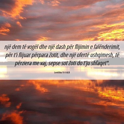 Picture 06 - Levitiku 9:4 ALB - një dem të vogël dhe një dash për flijimin e - Bible Verse Picture