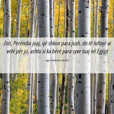 Picture 06 - Ligji i Përtërirë 1:30 ALB - Zoti, Perëndia juaj, që shkon para jush, do të - Bible Verse Picture