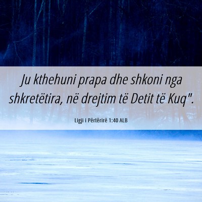 Picture 06 - Ligji i Përtërirë 1:40 ALB - Ju kthehuni prapa dhe shkoni nga shkretëtira, - Bible Verse Picture