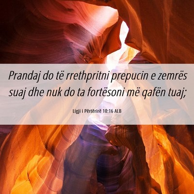 Picture 06 - Ligji i Përtërirë 10:16 ALB - Prandaj do të rrethpritni prepucin e zemrës - Bible Verse Picture