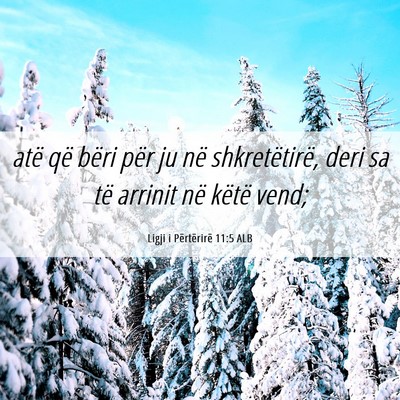 Picture 06 - Ligji i Përtërirë 11:5 ALB - atë që bëri për ju në shkretëtirë, deri sa - Bible Verse Picture