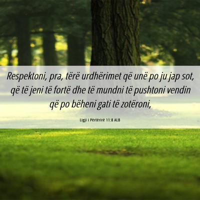 Picture 06 - Ligji i Përtërirë 11:8 ALB - Respektoni, pra, tërë urdhërimet që unë po - Bible Verse Picture