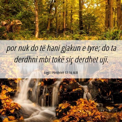 Picture 06 - Ligji i Përtërirë 12:16 ALB - por nuk do të hani gjakun e tyre; do ta derdhni - Bible Verse Picture