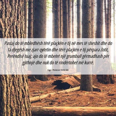 Picture 06 - Ligji i Përtërirë 13:16 ALB - Pastaj do të mbledhësh tërë plaçkën e tij - Bible Verse Picture