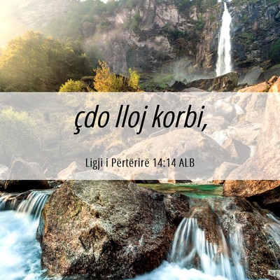 Picture 06 - Ligji i Përtërirë 14:14 ALB - çdo lloj - Bible Verse Picture