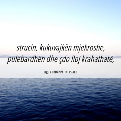 Picture 06 - Ligji i Përtërirë 14:15 ALB - strucin, kukuvajkën mjekroshe, pulëbardhën dhe - Bible Verse Picture