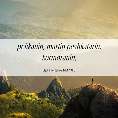 Picture 06 - Ligji i Përtërirë 14:17 ALB - pelikanin, martin peshkatarin, - Bible Verse Picture