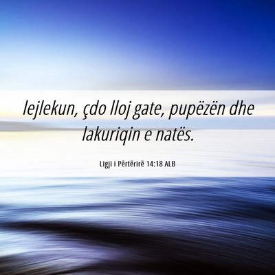 Picture 06 - Ligji i Përtërirë 14:18 ALB - lejlekun, çdo lloj gate, pupëzën dhe lakuriqin - Bible Verse Picture