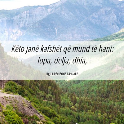 Picture 06 - Ligji i Përtërirë 14:4 ALB - Këto janë kafshët që mund të hani: lopa, - Bible Verse Picture