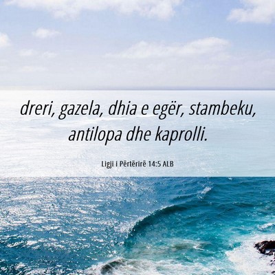 Picture 06 - Ligji i Përtërirë 14:5 ALB - dreri, gazela, dhia e egër, stambeku, antilopa - Bible Verse Picture
