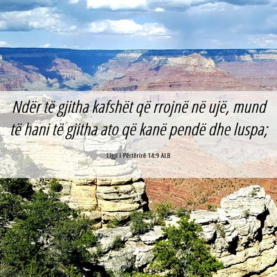 Picture 06 - Ligji i Përtërirë 14:9 ALB - Ndër të gjitha kafshët që rrojnë në ujë, - Bible Verse Picture