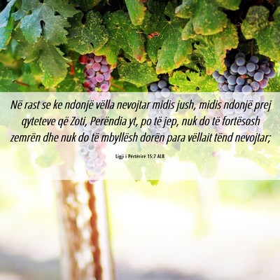 Picture 06 - Ligji i Përtërirë 15:7 ALB - Në rast se ke ndonjë vëlla nevojtar midis - Bible Verse Picture