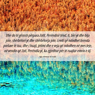 Picture 06 - Ligji i Përtërirë 16:11 ALB - Dhe do të gëzosh përpara Zotit, Perëndisë - Bible Verse Picture
