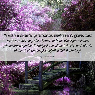 Picture 06 - Ligji i Përtërirë 17:8 ALB - Në rast se të paraqitet një rast shumë i - Bible Verse Picture