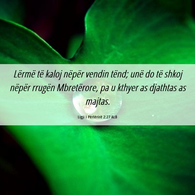 Picture 06 - Ligji i Përtërirë 2:27 ALB - Lërmë të kaloj nëpër vendin tënd; unë do - Bible Verse Picture
