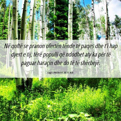 Picture 06 - Ligji i Përtërirë 20:11 ALB - Në qoftë se pranon ofertën tënde të paqes - Bible Verse Picture