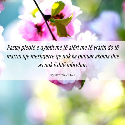 Picture 06 - Ligji i Përtërirë 21:3 ALB - Pastaj pleqtë e qytetit më të afërt me të - Bible Verse Picture