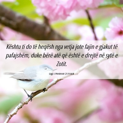 Picture 06 - Ligji i Përtërirë 21:9 ALB - Kështu ti do të heqësh nga vetja jote fajin e - Bible Verse Picture