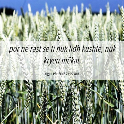 Picture 06 - Ligji i Përtërirë 23:22 ALB - por në rast se ti nuk lidh kushte, nuk kryen - Bible Verse Picture
