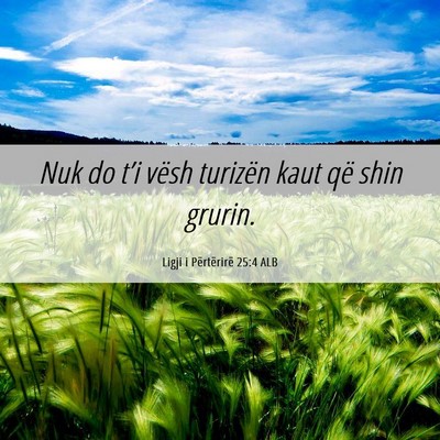 Picture 06 - Ligji i Përtërirë 25:4 ALB - Nuk do t’i vësh turizën kaut që shin - Bible Verse Picture