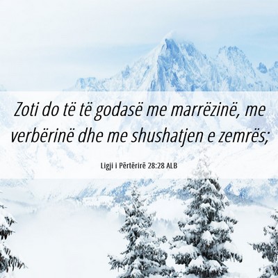 Picture 06 - Ligji i Përtërirë 28:28 ALB - Zoti do të të godasë me marrëzinë, me - Bible Verse Picture