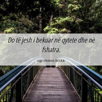 Picture 06 - Ligji i Përtërirë 28:3 ALB - Do të jesh i bekuar në qytete dhe në - Bible Verse Picture