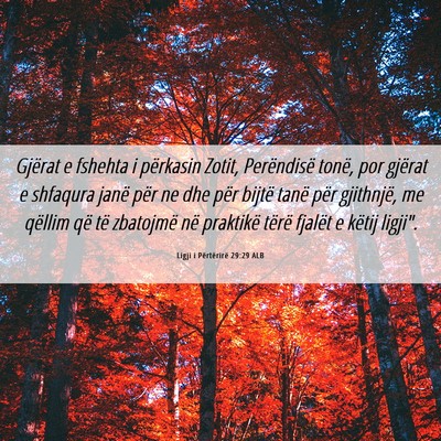 Picture 06 - Ligji i Përtërirë 29:29 ALB - Gjërat e fshehta i përkasin Zotit, Perëndisë - Bible Verse Picture