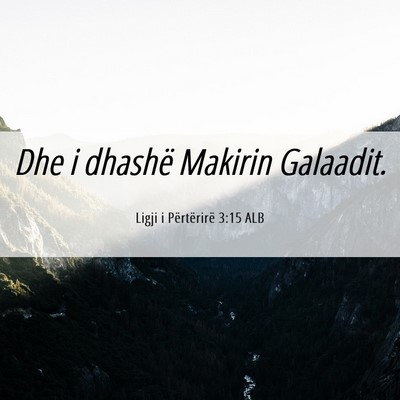 Picture 06 - Ligji i Përtërirë 3:15 ALB - Dhe i dhashë Makirin - Bible Verse Picture