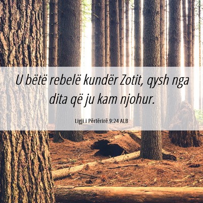 Picture 06 - Ligji i Përtërirë 9:24 ALB - U bëtë rebelë kundër Zotit, qysh nga dita që - Bible Verse Picture