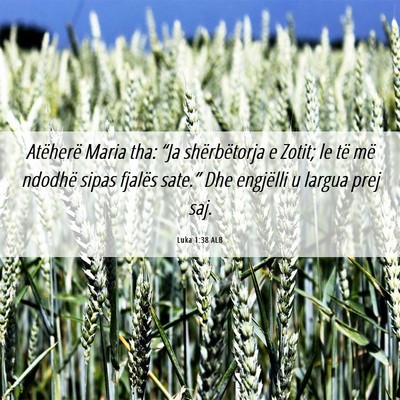 Picture 06 - Luka 1:38 ALB - Atëherë Maria tha: “Ja shërbëtorja e Zotit; - Bible Verse Picture