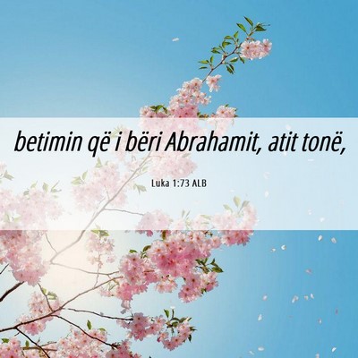 Picture 06 - Luka 1:73 ALB - betimin që i bëri Abrahamit, atit - Bible Verse Picture