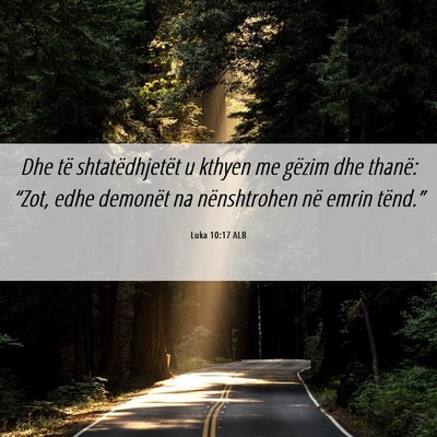 Picture 06 - Luka 10:17 ALB - Dhe të shtatëdhjetët u kthyen me gëzim dhe - Bible Verse Picture