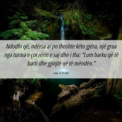 Picture 06 - Luka 11:27 ALB - Ndodhi që, ndërsa ai po thoshte këto gjëra, - Bible Verse Picture