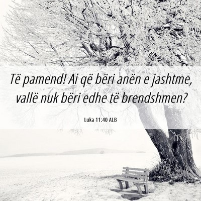 Picture 06 - Luka 11:40 ALB - Të pamend! Ai që bëri anën e jashtme, vallë - Bible Verse Picture