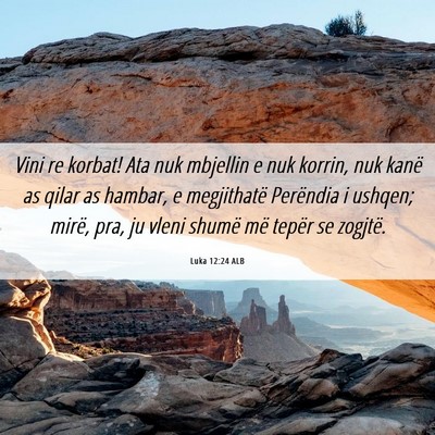 Picture 06 - Luka 12:24 ALB - Vini re korbat! Ata nuk mbjellin e nuk korrin, - Bible Verse Picture